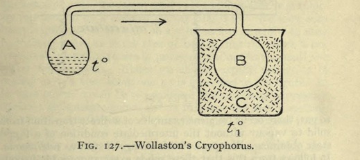 Cryophorus de Wollaston